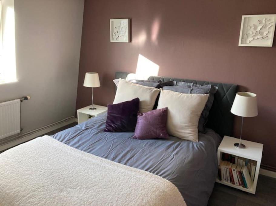 Agreable Et Spacieuse Maison Centre Ville Saint-Omer エクステリア 写真
